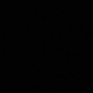 Meet your Posher, Feliciano